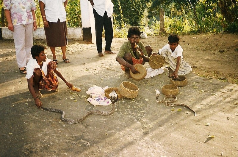 Trai nghiem cuoc song cuc thu vi o Sri Lanka nam 1993-Hinh-7