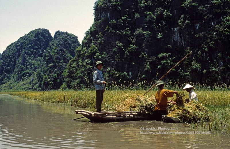 Khung canh tuoi dep cua Ninh Binh nam 1998 qua ong kinh Tay-Hinh-10