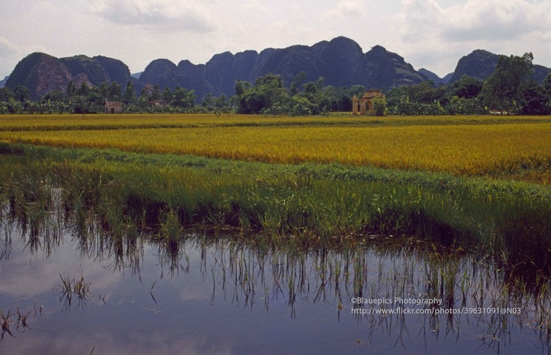 Khung canh tuoi dep cua Ninh Binh nam 1998 qua ong kinh Tay-Hinh-3
