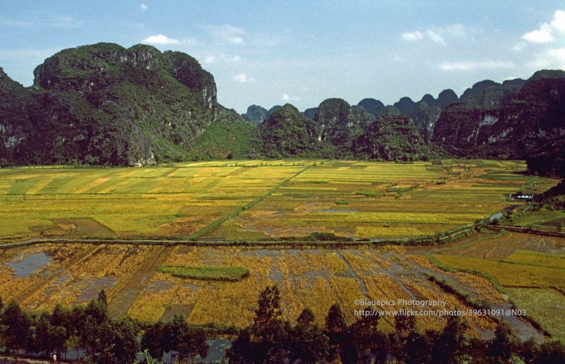 Khung canh tuoi dep cua Ninh Binh nam 1998 qua ong kinh Tay-Hinh-6