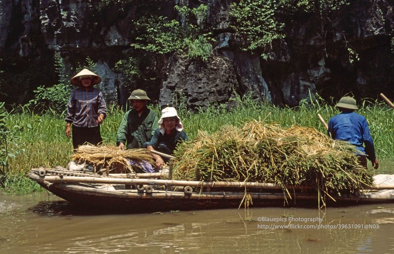 Khung canh tuoi dep cua Ninh Binh nam 1998 qua ong kinh Tay-Hinh-9