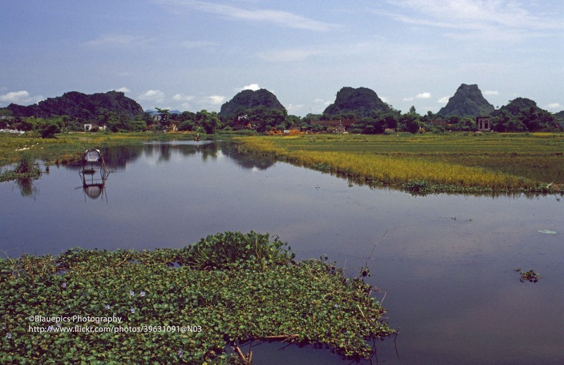 Khung canh tuoi dep cua Ninh Binh nam 1998 qua ong kinh Tay