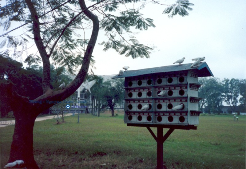 Hoai niem thu do Ha Noi nam 1991 qua ong kinh khach Tay-Hinh-5
