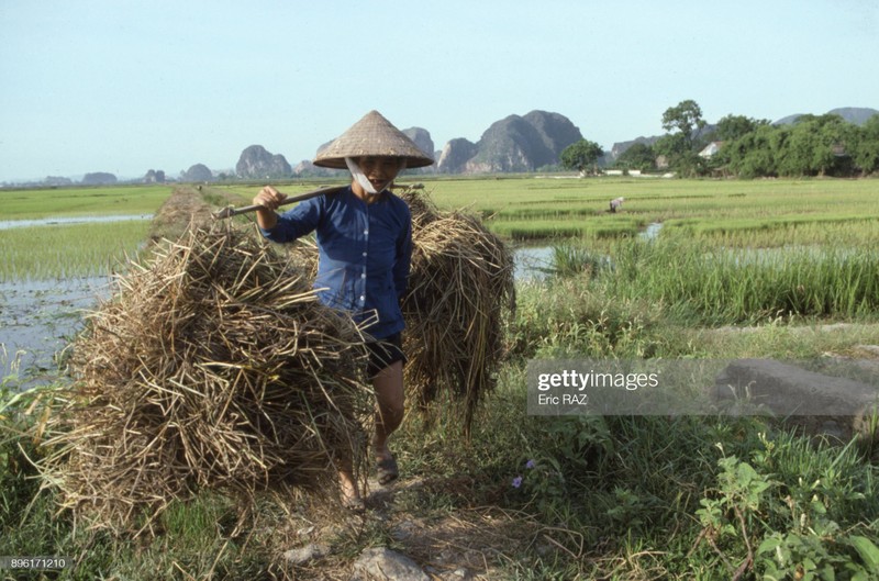 Nhung hinh anh thu vi ve mien Viet Nam nam 1995-Hinh-2