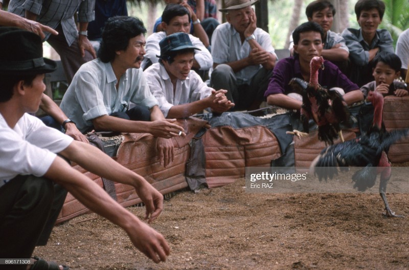 Nhung hinh anh thu vi ve mien Viet Nam nam 1995-Hinh-9