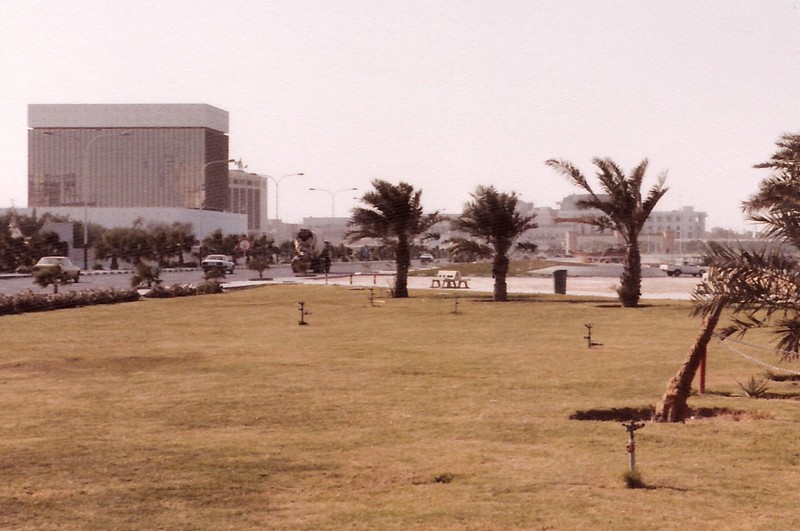 Co mot dat nuoc Qatar thap nien 1980 dac biet nhu the-Hinh-10
