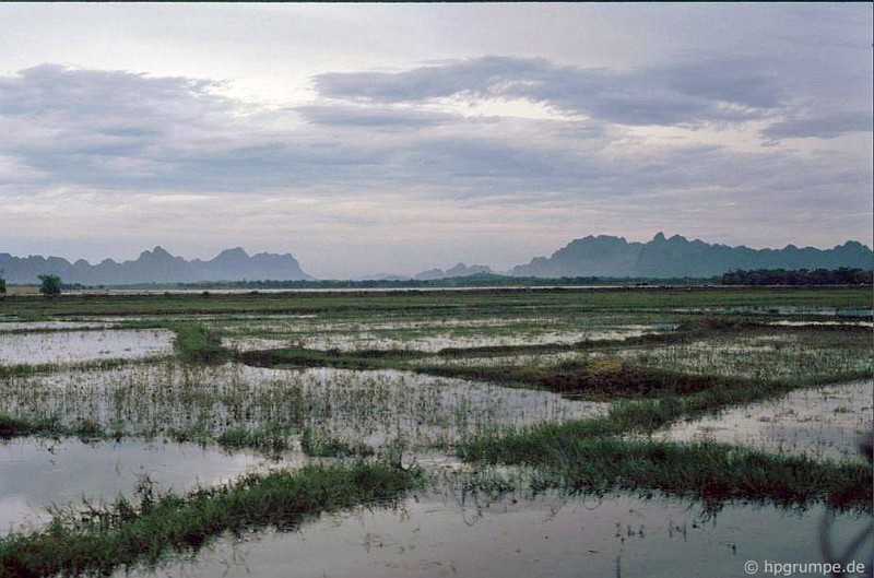 Lang nguoi truoc ve dep hoang so cua Ninh Binh nam 1991-Hinh-12