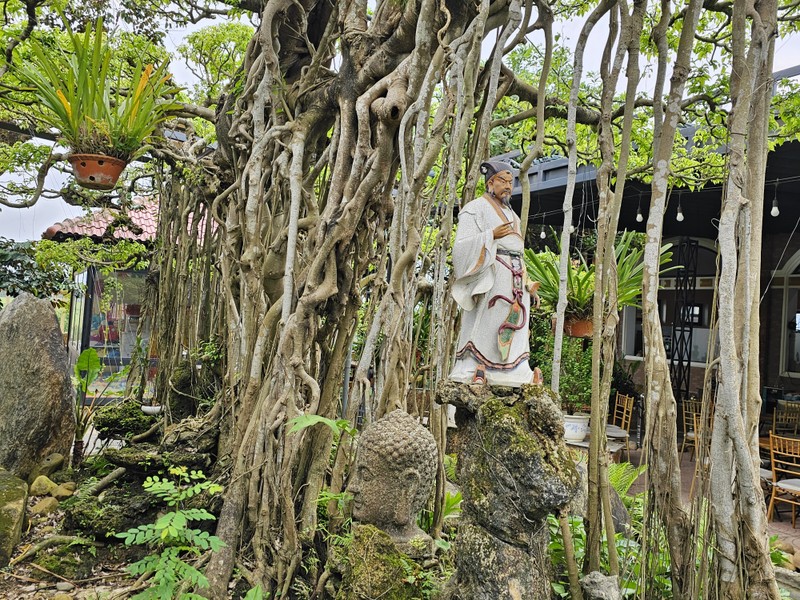 Tuyet pham bonsai “con rong Chau A” dai gia chi tien ty cung khong mua duoc-Hinh-4