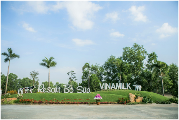 Check-in tai “Resort” bo sua sieu dep cua Vinamilk Tay Ninh