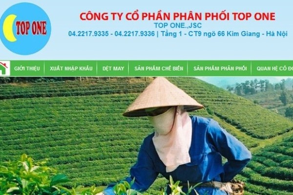 Top One chinh thuc ‘guc nga’ voi khoan lo 16 ty dong nam 2019