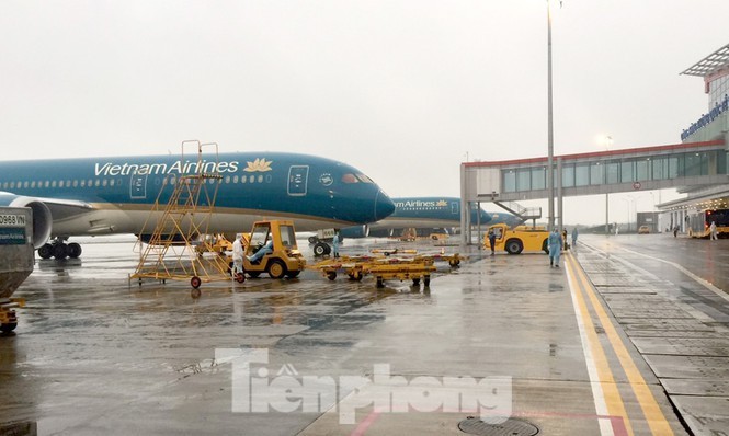 Sap het tien, Vietnam Airlines xin 'giai cuu'