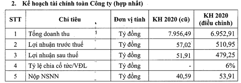 Dam Ca Mau dieu chinh tang toi 89% ke hoach loi nhuan nam 2020-Hinh-2