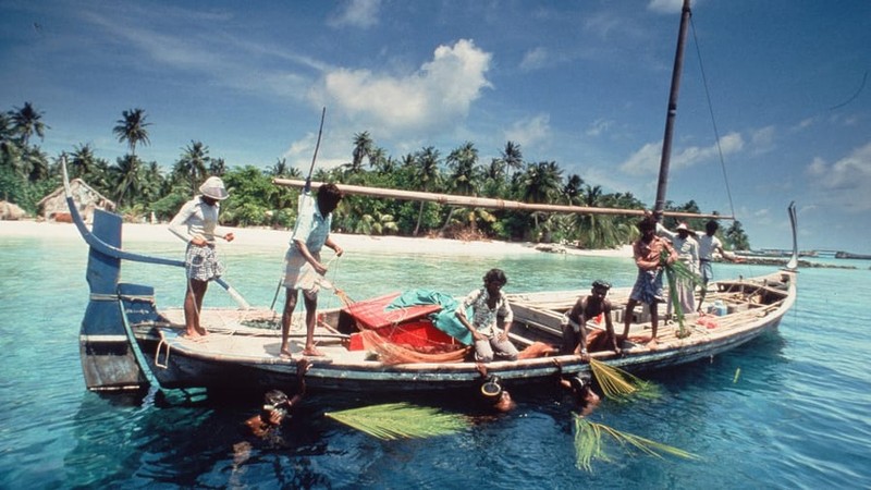 Maldives trong the nao truoc khi 'qua bom du lich' ap den-Hinh-9