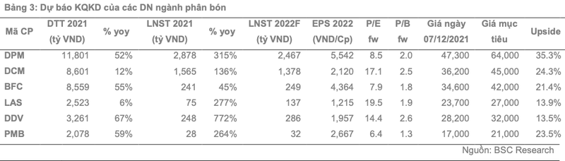 Loi nhuan DPM, DCM va BFC duoc du bao tang truong dot bien sang tan 2022-Hinh-3
