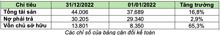 Bamboo Capital (BCG) bao lai 2022 hon 546 ty trong dieu kien thi truong nhieu bien dong-Hinh-2