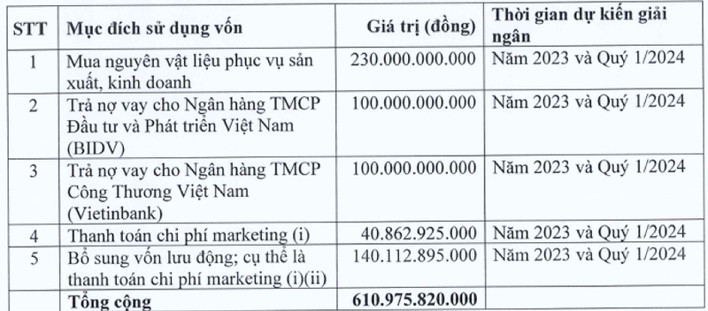 IDP chao ban co phieu gia 254.000 dong tra no khi chi 710 ty cho marketing