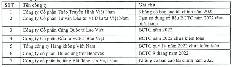 Am 3.336 ty khoan dau tu vao Vietnam Airlines keo lai rong SCIC lao doc 63%?-Hinh-2