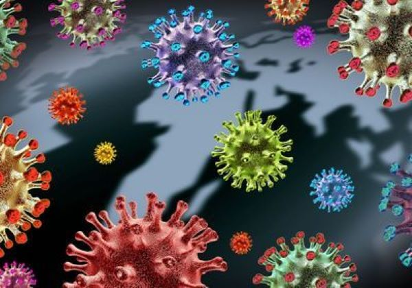 CDC Trung Quoc: Cac loai nhiem SARS-CoV-2 trong tu nhien gia tang kho kiem soat-Hinh-10
