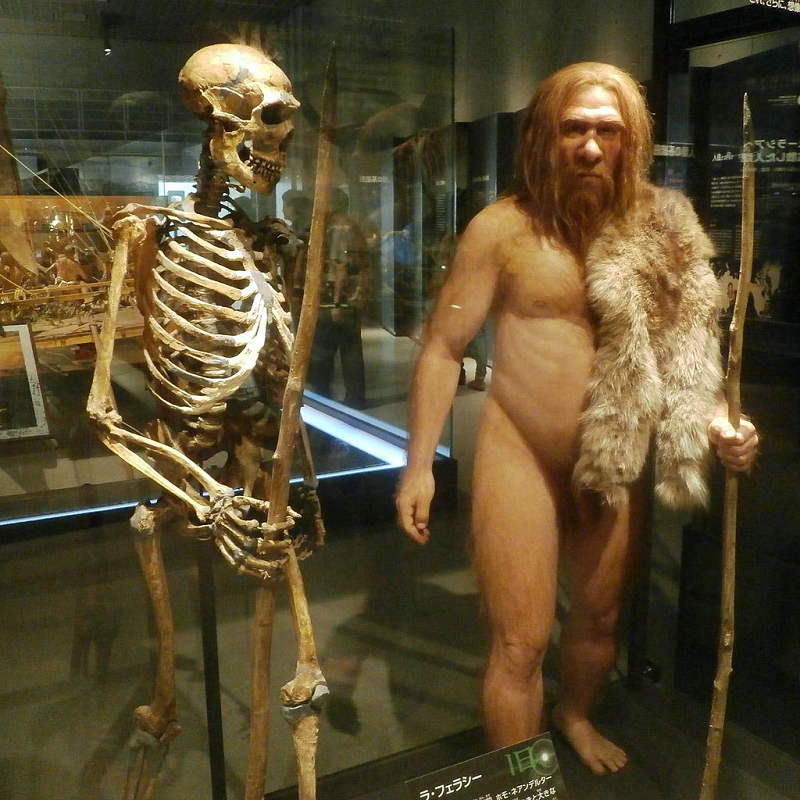 Nguoi Neanderthal tuyet chung vi dieu dac biet nay?-Hinh-11