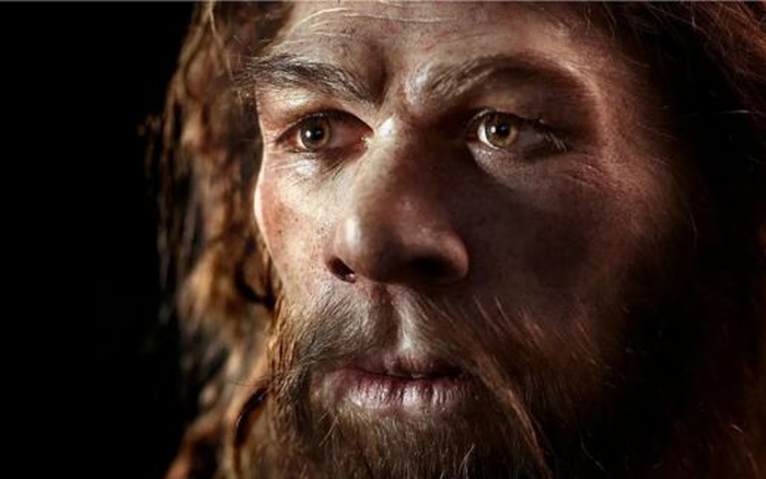 Nguoi Neanderthal tuyet chung vi dieu dac biet nay?-Hinh-4