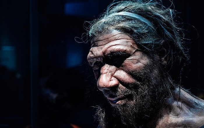 Nguoi Neanderthal tuyet chung vi dieu dac biet nay?-Hinh-6