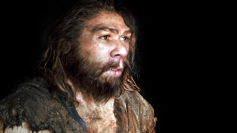Nguoi Neanderthal tuyet chung vi dieu dac biet nay?-Hinh-9