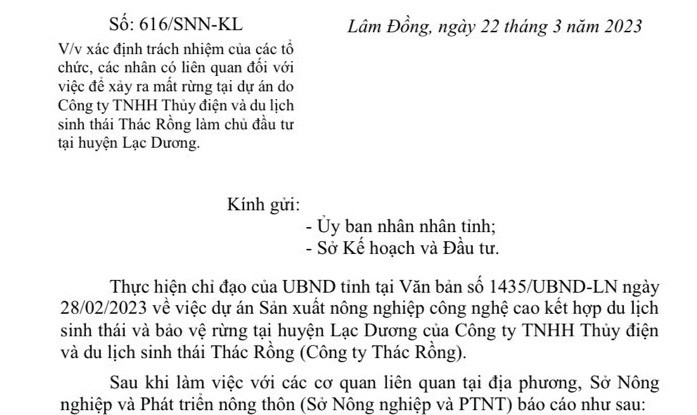 Lam Dong: Du an cua Cong ty Thac Rong lam mat rung