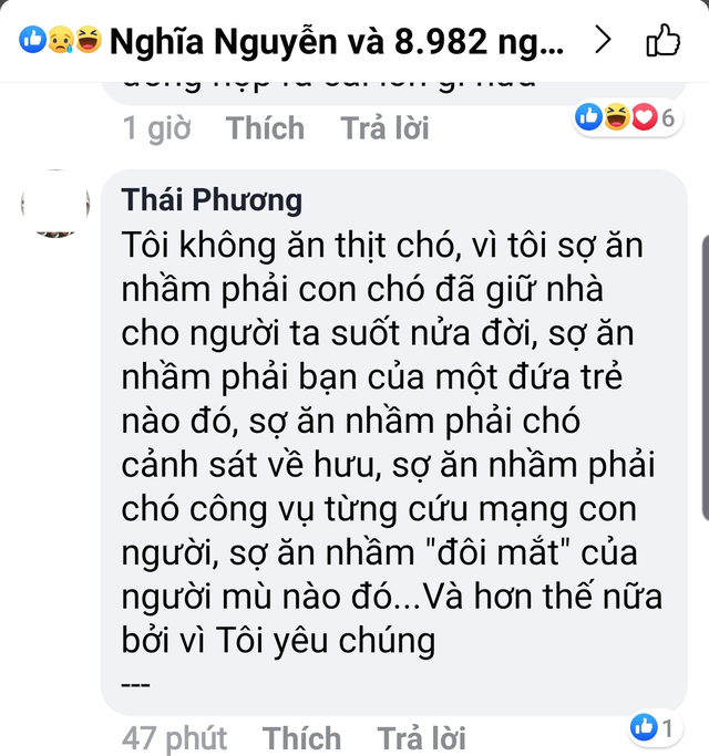 Thit cho dong hop nhu thit heo o Ninh Binh-Hinh-2