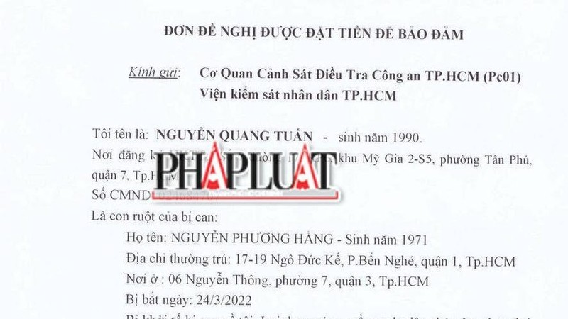 Vu dai gia Nguyen Phuong Hang tam giam: Con trai xin nop 10 ti dong bao dam cho me tai ngoai