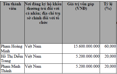 Co dong gom 49% von VTSS la to chuc lien quan du an bi 'Dr Thanh' chiem doat-Hinh-2