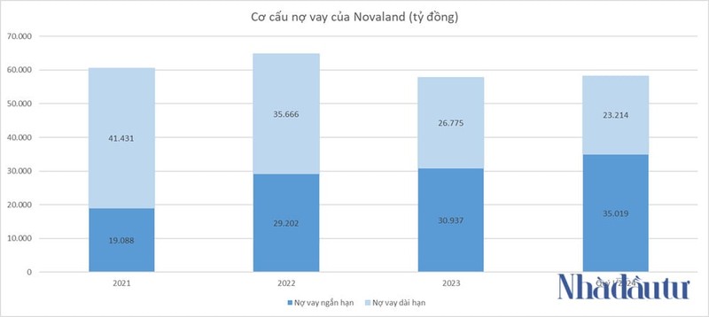 Vi sao co phieu tap doan Novaland mat 25% gia tri trong 1 thang?-Hinh-3