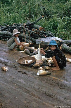 Cuoc song o Quang Tri nam 1992 nhu the nao?-Hinh-3