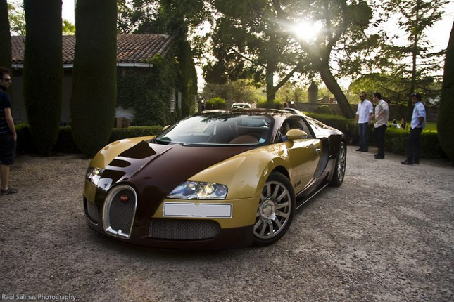 Ngam sieu xe Bugatti Veyron phien ban dac biet
