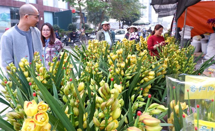 Dieu thu vi o cho hoa Tet Van Phuc nhung ngay cuoi nam-Hinh-7