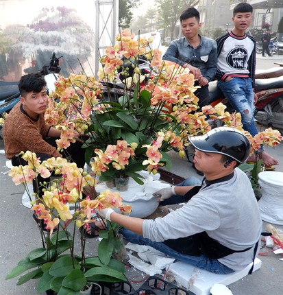 Dieu thu vi o cho hoa Tet Van Phuc nhung ngay cuoi nam-Hinh-8