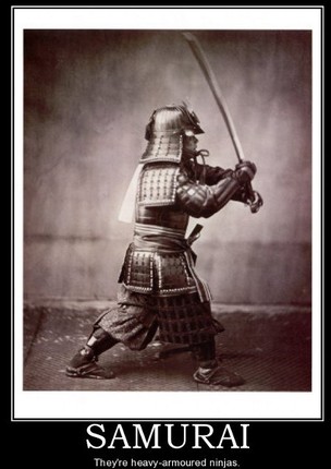 Nguyen nhan con cai cua samurai Nhat Ban thuong yeu duoi, benh tat-Hinh-2