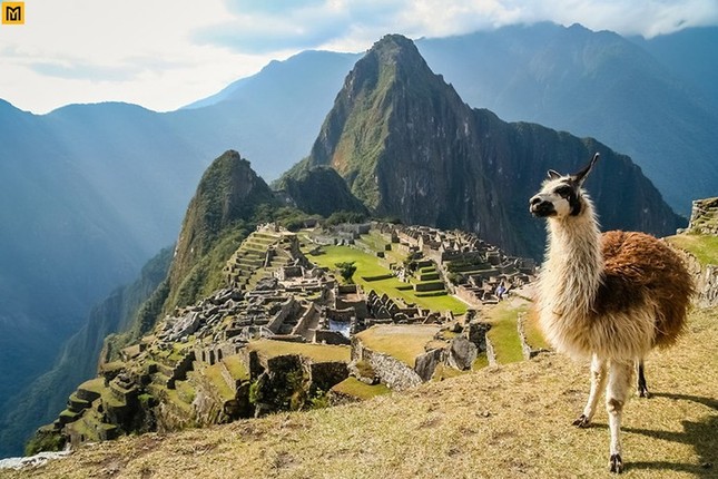 Nguoi Inca xay thanh dia Machu Picchu nhu the nao?