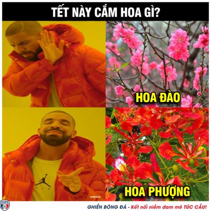 Su that Cong Phuong, Quang Hai ban dao kiem tien tieu Tet-Hinh-7
