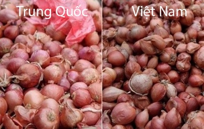 De tranh mua rau cu Trung Quoc, ban can nho nhung dieu nay-Hinh-8