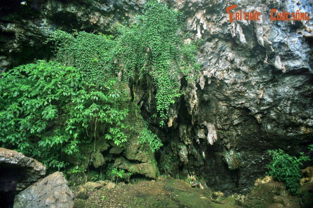 Cau chuyen tinh buon trong hang dong noi tieng vung Tay Bac-Hinh-5