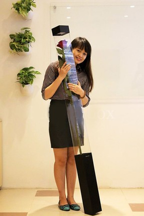 Dan mang san hoa hong “khong lo” lam qua Valentine-Hinh-3