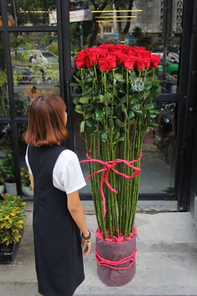 Dan mang san hoa hong “khong lo” lam qua Valentine-Hinh-6