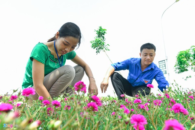 Duong hoa muoi gio dep nhu mo giua Ha Noi-Hinh-6
