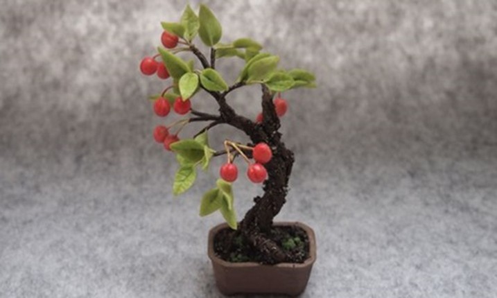 Me tit nhung chau bonsai cherry dep hut mat-Hinh-9