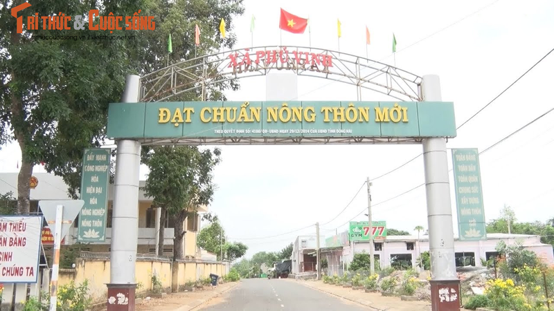 Dong Nai: Trong 1 ngay Cong ty Phat Trung Viet  trung 4 goi thau
